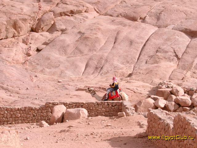 �������� ���������