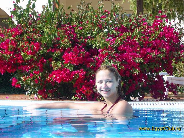 ��������� ����� ����