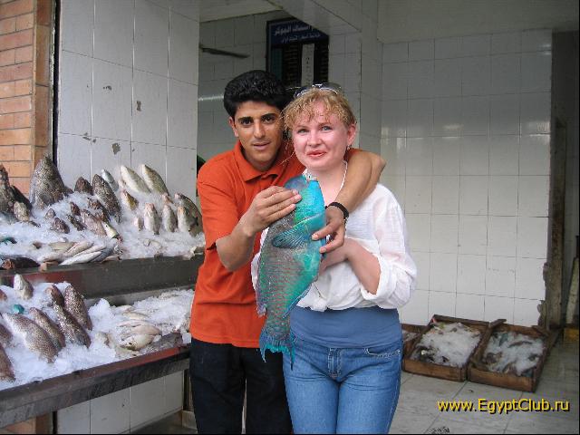 ����-�������