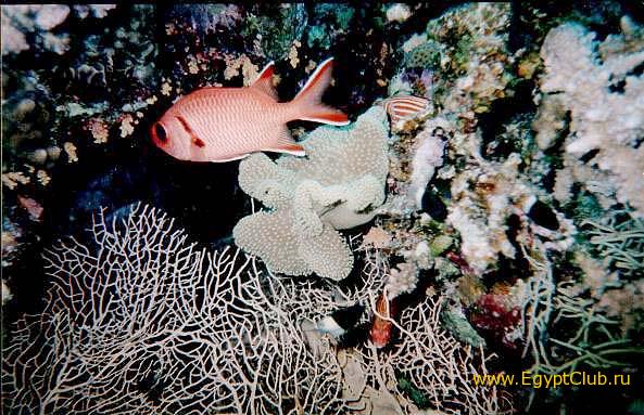 ����������