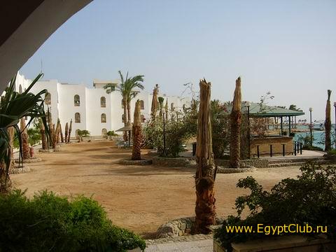 ����� ������ �������