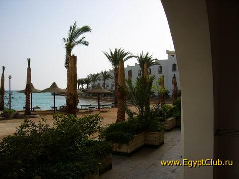 ����� ������ �������