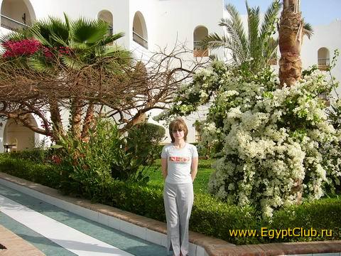 ����� ������ �������