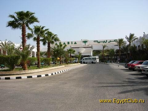 ����� ������ �������