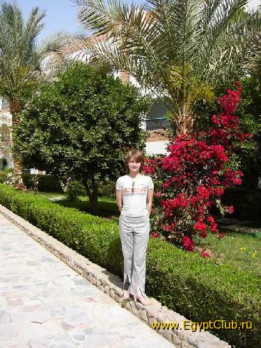 ����� ������ �������