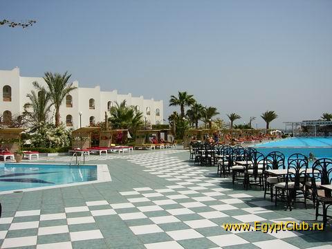 ����� ������ �������