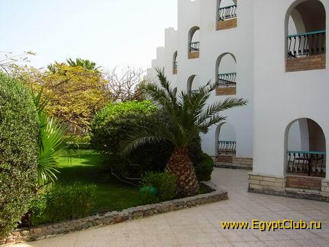 ����� ������ �������