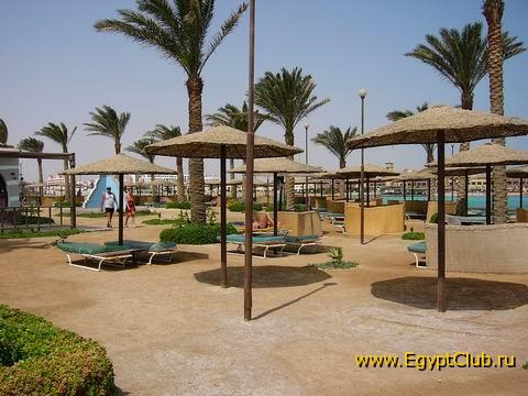 ����� ������ �������