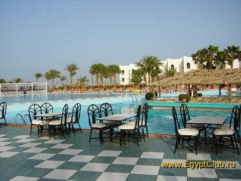 ����� ������ �������