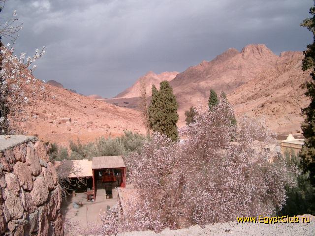 ���� ������!