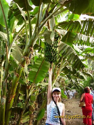 �� ��������� �������