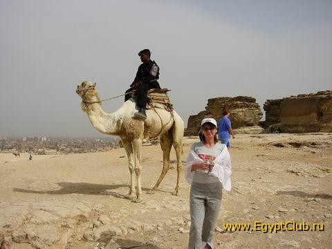 �� ������� ���� �������