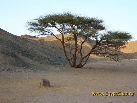 �������� ������� � �������