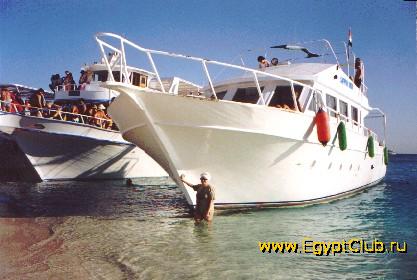 ���������� �������