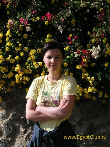 ������ - ��� �