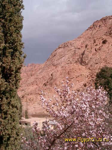 ������ ��������