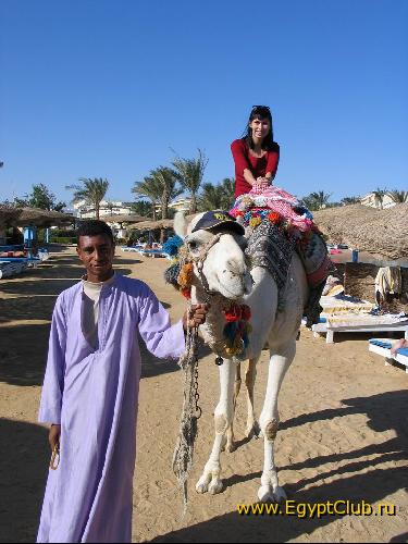 ���������� �����