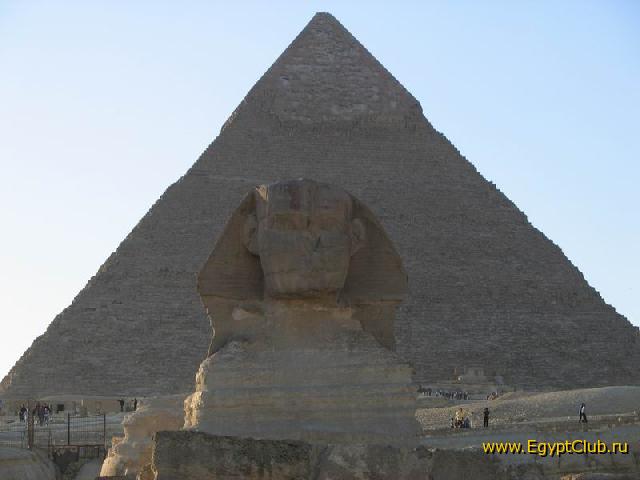 ������ �����