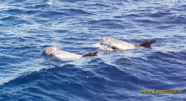 ��������!!!