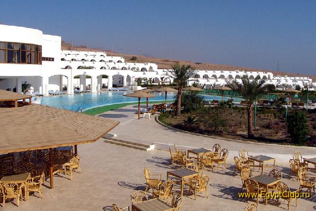 ����� ������ �����