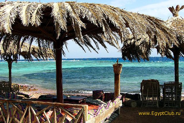 ��� ��� ��������