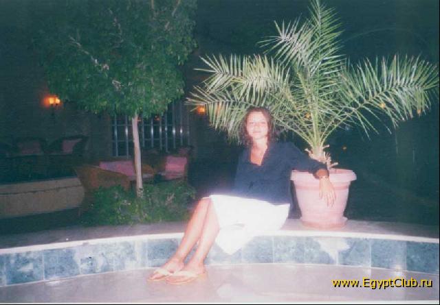 ������ ���