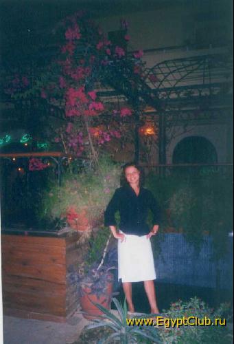 ������ ���