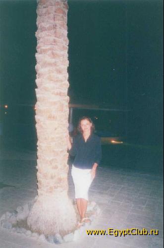 ������ ���