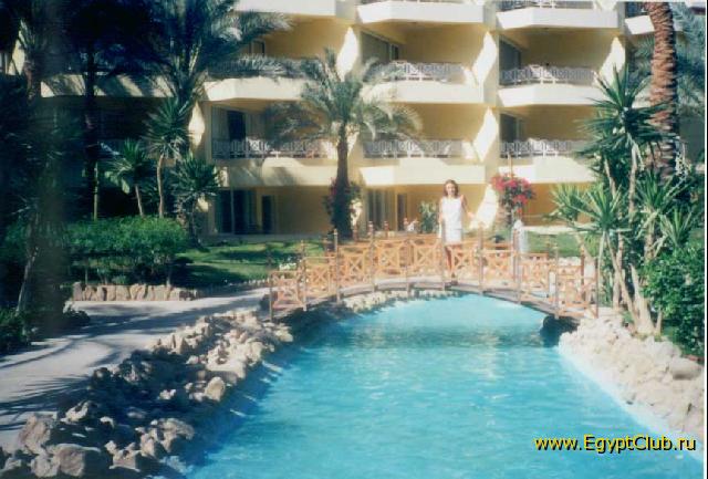 ������ ���