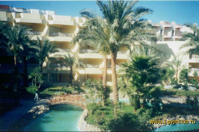 ������ ���