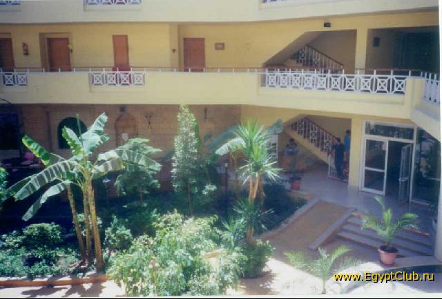 ������ ���