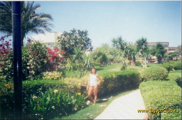 ������ ���