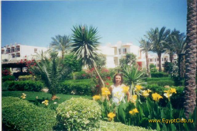 ������ ���