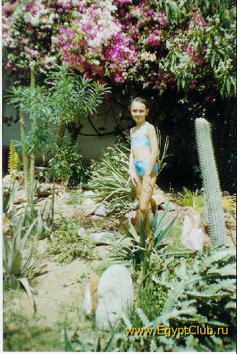 ����-������