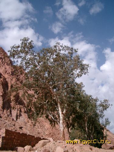 ������ � ��������� ������ ���������