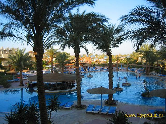 ������ ���, �������