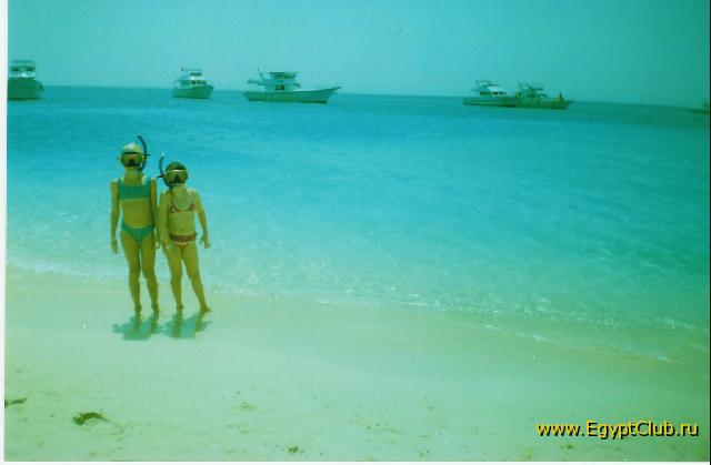  �����-���������