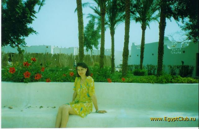 ����-������