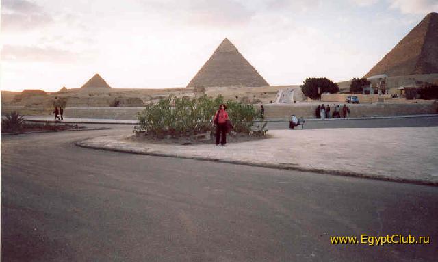 ��� ��������