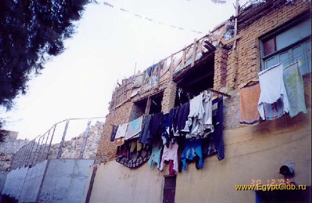 ��� ���� ������� �������