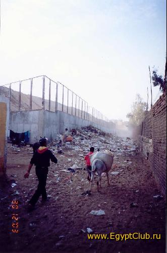 ����� �������