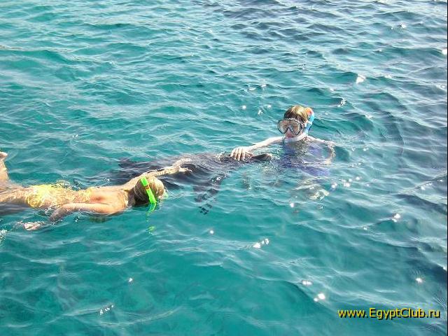 �������...