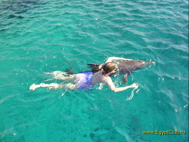 ���������� ��������...