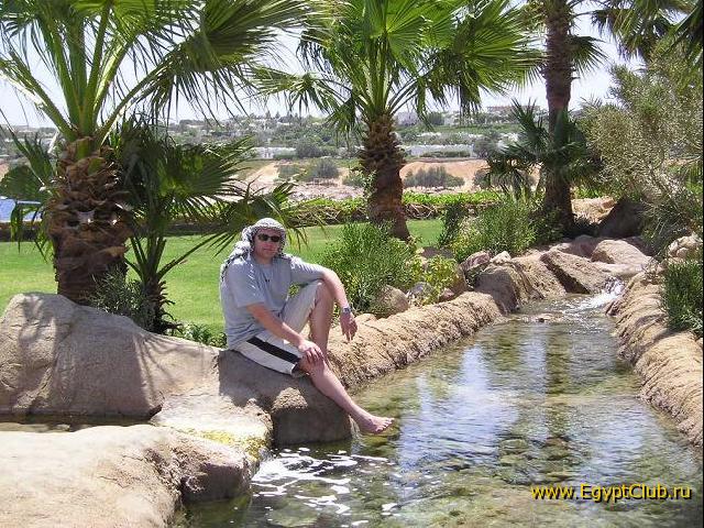 ������ �� ������...