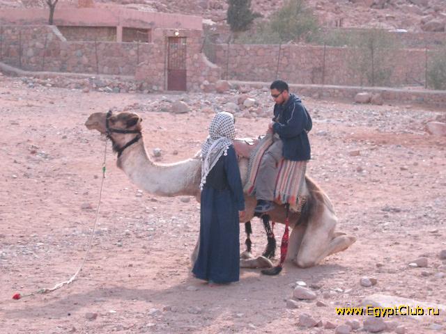 ������, �������. ��������!