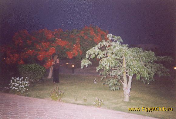 ���������� ����� ������