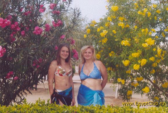 � � �������