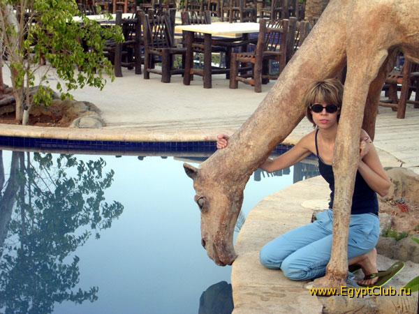 ����� ���� ���������