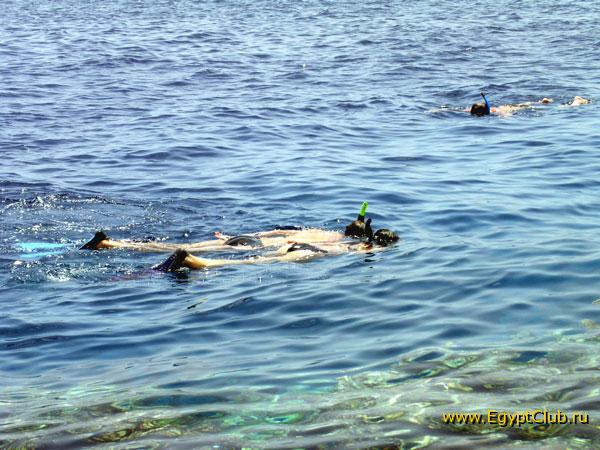 ������ ���� � ����� ������