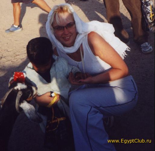 ������� �� ������������